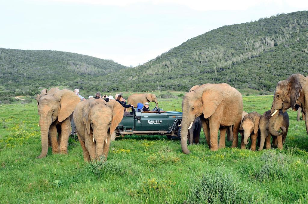 Kariega Game Reserve River Lodge Kenton on Sea Luaran gambar